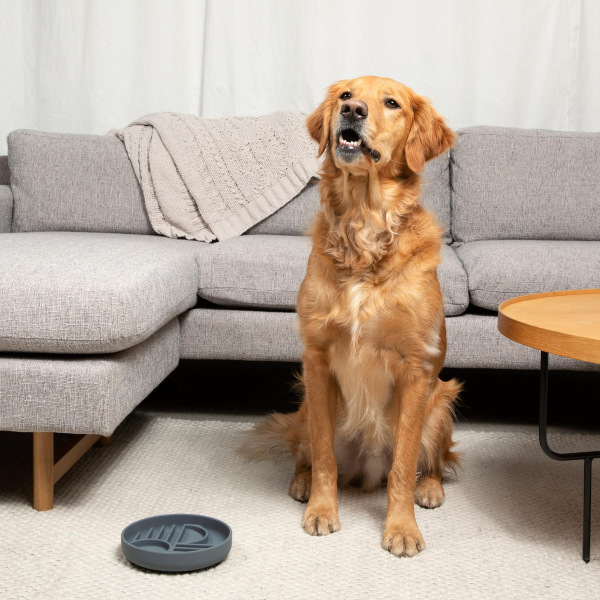 Slow Feeder Dog Bowls - Small Size Silicone Slow Eating Dog Bowl for Puppies & Dogs with Suction Cup -Dishwasher-Safe, Lick Mat Design, Reduces Gulping, for All Breeds, 6”x1.25”- Sage