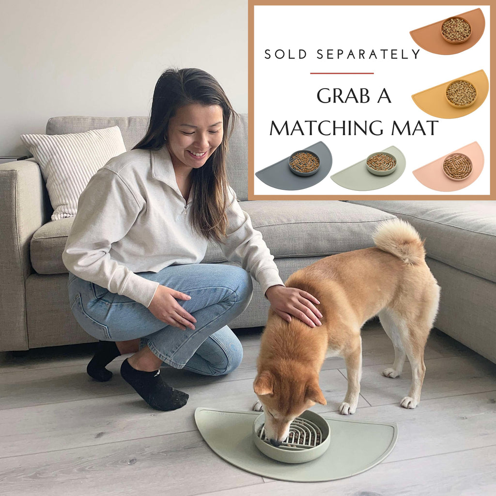 Slow Feeder Dog Bowls - Small Size Silicone Slow Eating Dog Bowl for Puppies & Dogs with Suction Cup -Dishwasher-Safe, Lick Mat Design, Reduces Gulping, for All Breeds, 6”x1.25”- Sage