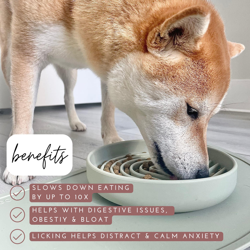Slow Feeder Dog Bowls - Small Size Silicone Slow Eating Dog Bowl for Puppies & Dogs with Suction Cup -Dishwasher-Safe, Lick Mat Design, Reduces Gulping, for All Breeds, 6”x1.25”- Sage